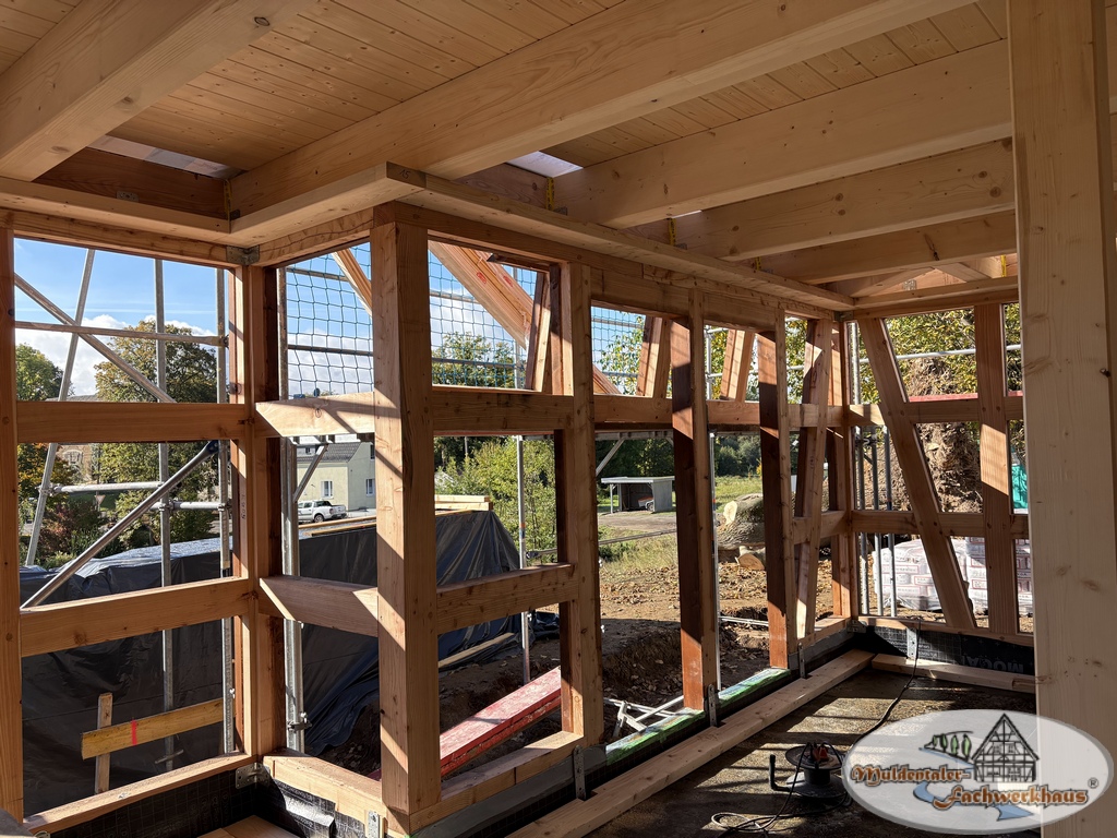 Fachwerkhaus aus Lärche in Altenburg