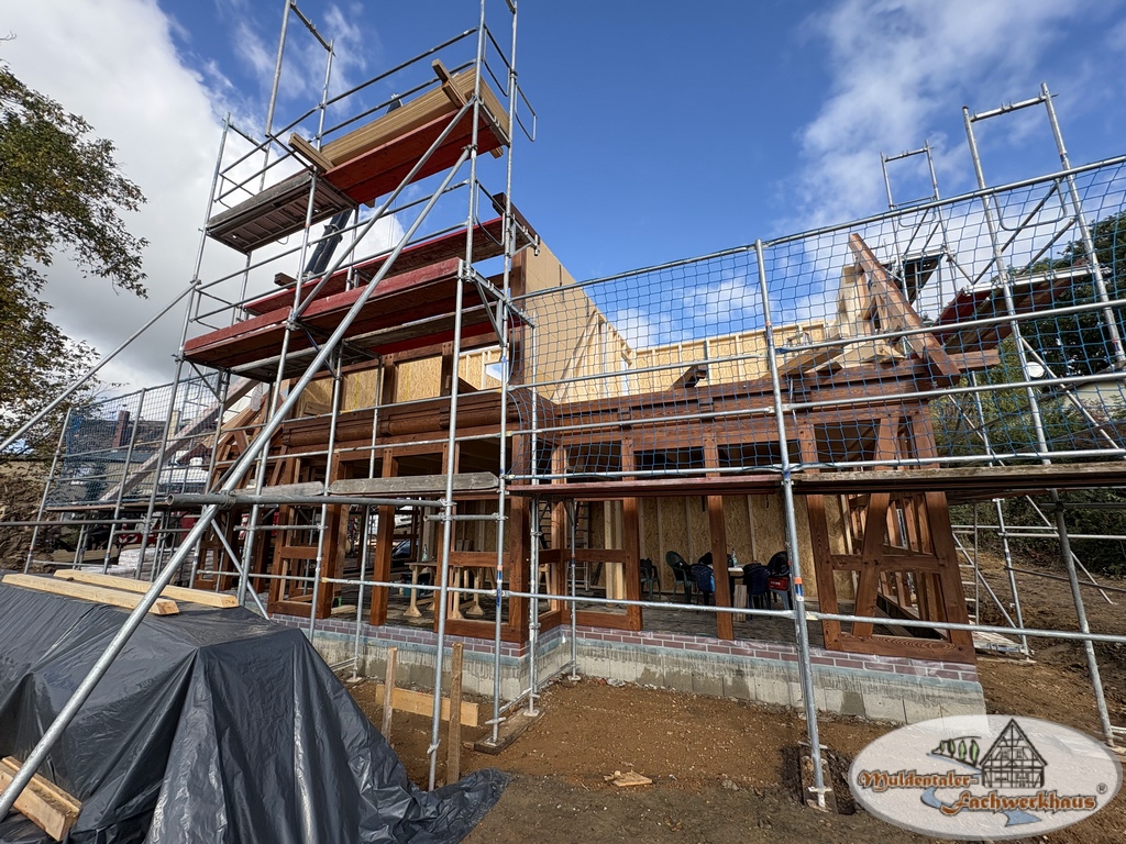 Fachwerkhaus aus Lärche in Altenburg