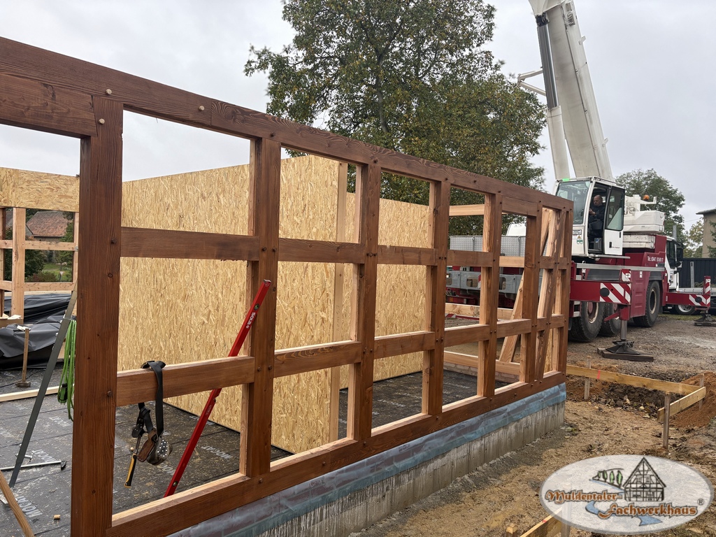 Fachwerkhaus aus Lärche in Altenburg