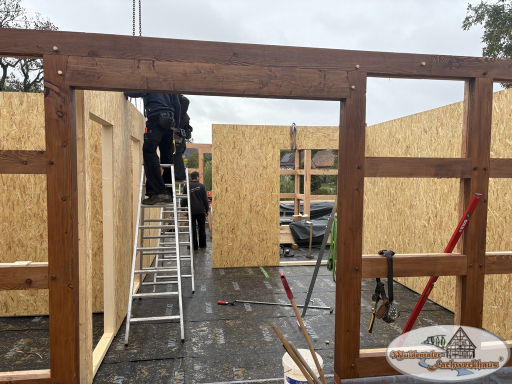 Fachwerkhaus aus Lärche in Altenburg