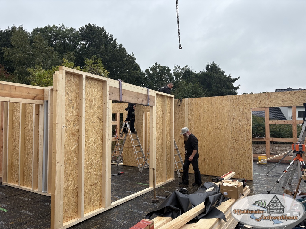 Fachwerkhaus aus Lärche in Altenburg