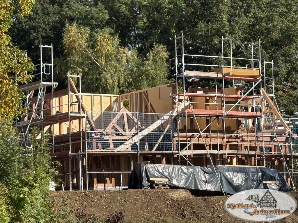 Fachwerkhaus aus Lärche in Altenburg